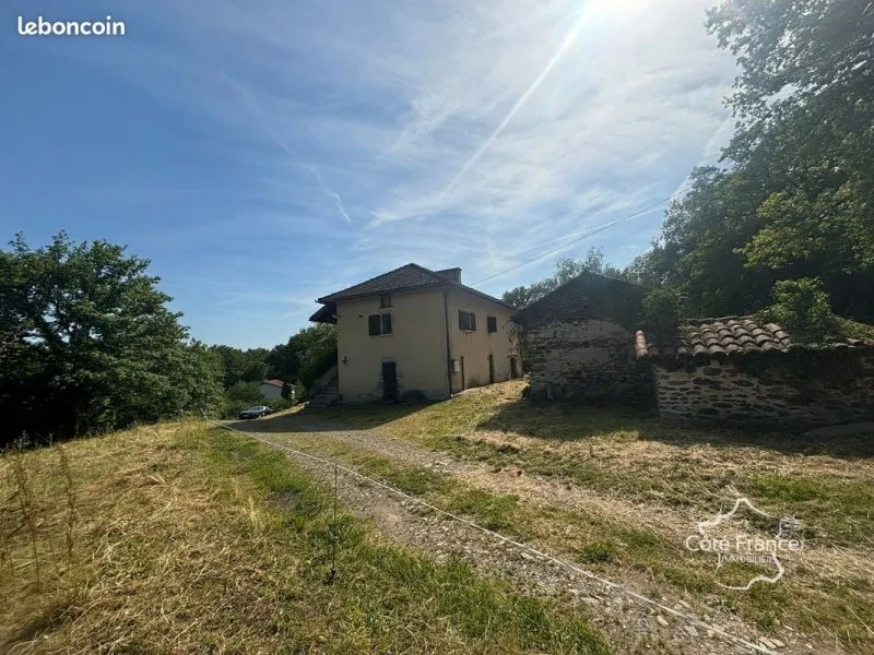 Photo 19
