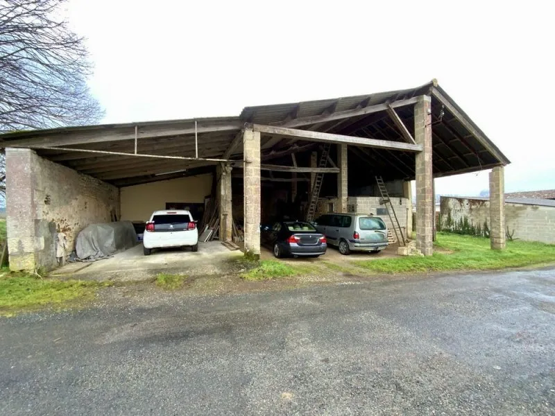 Photo 12