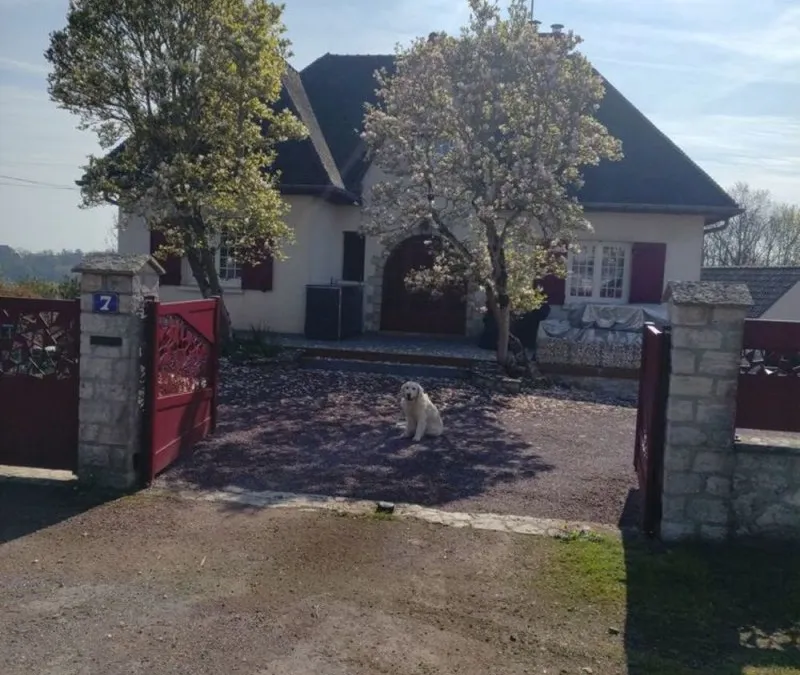 Photo 1