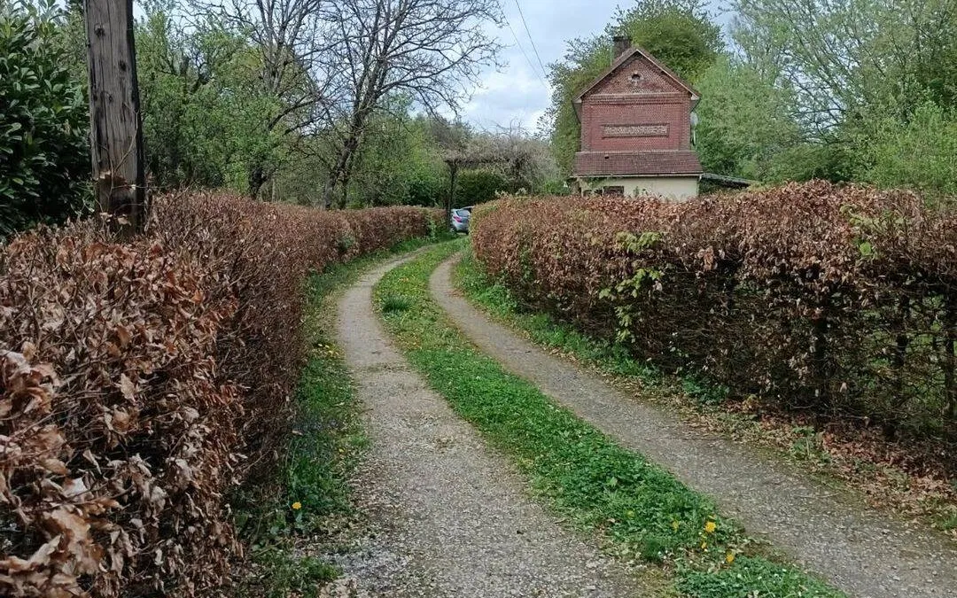 Photo 5