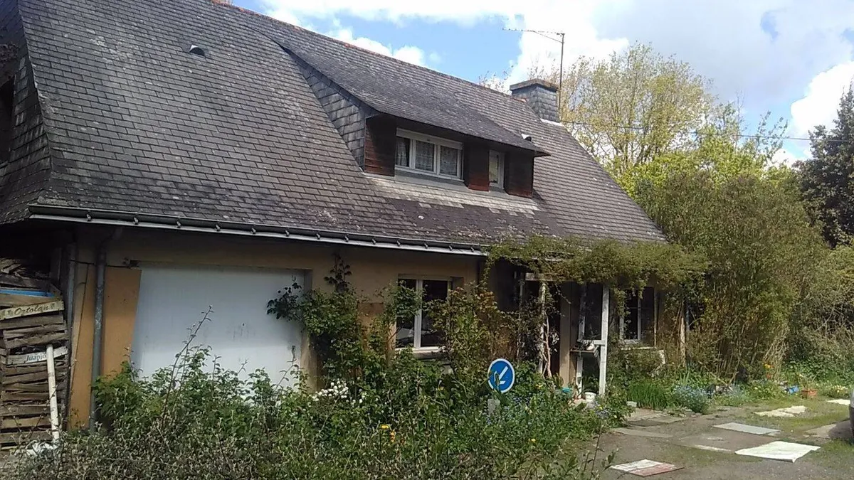 Photo 3