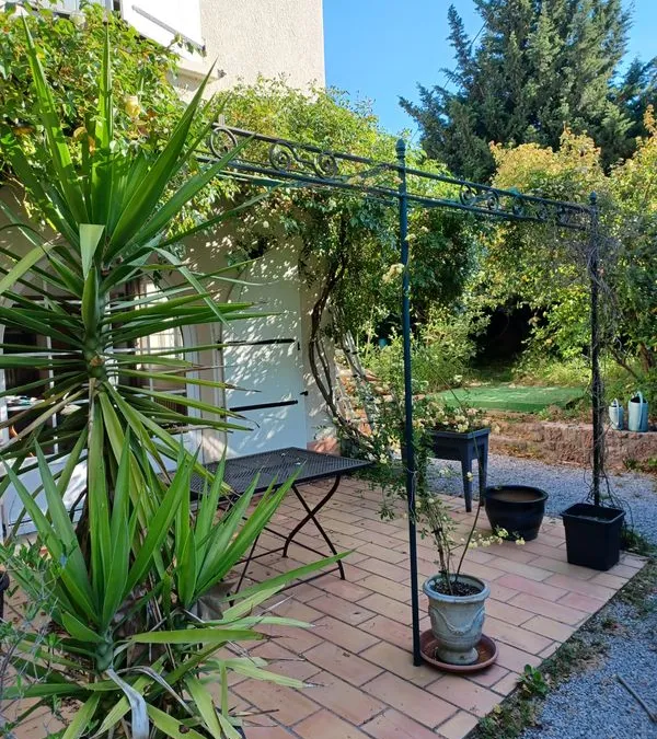 Photo 5