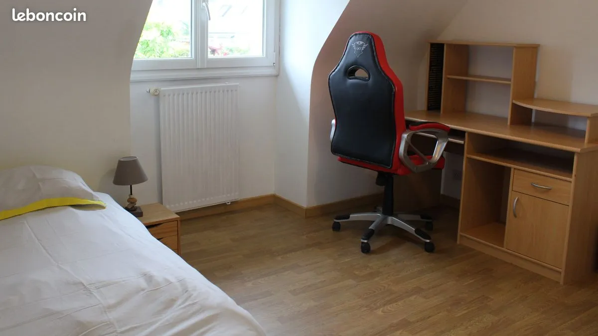 Photo 1