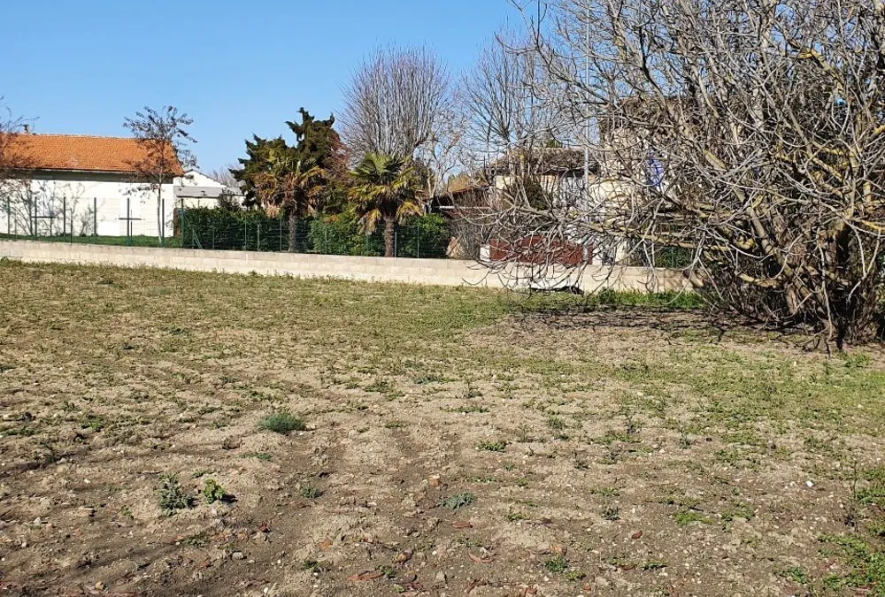 Photo 4