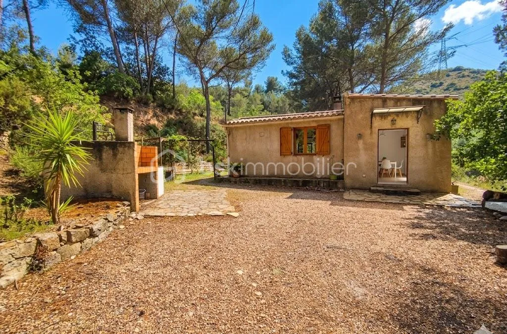 Photo 1