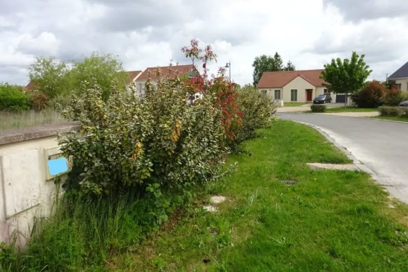 Photo 4