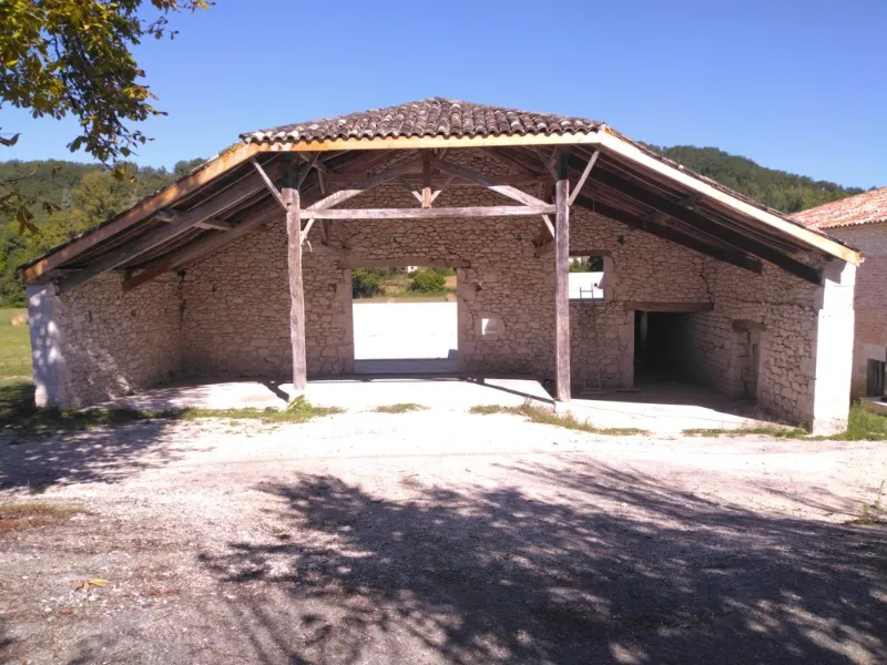 Photo 5