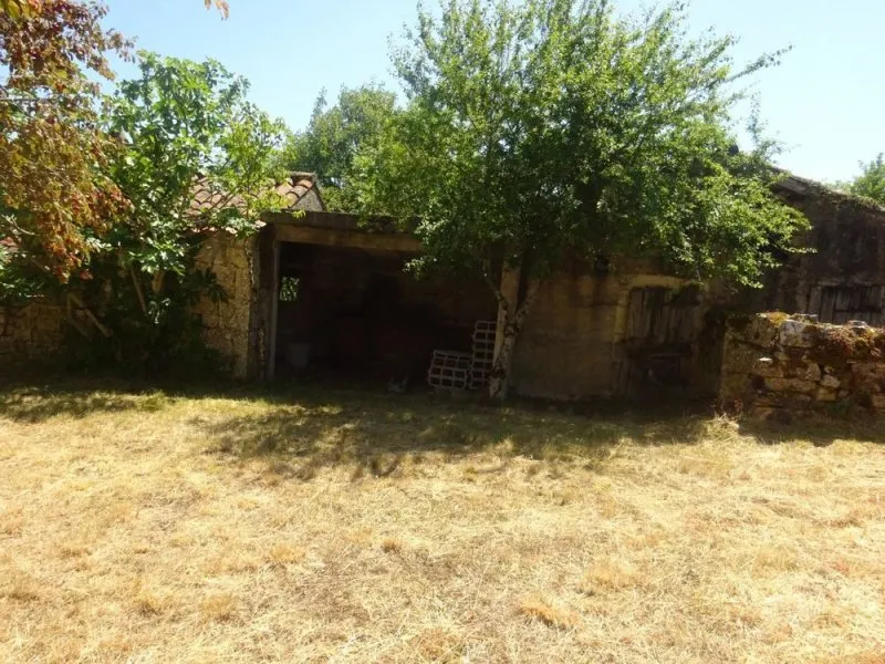 Photo 4
