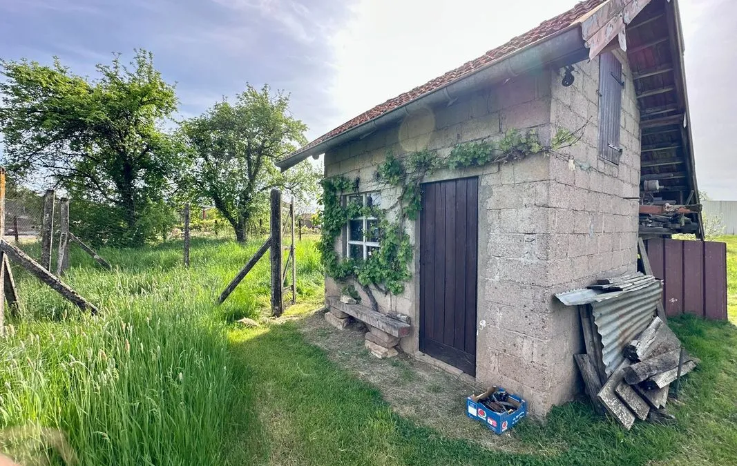Photo 16