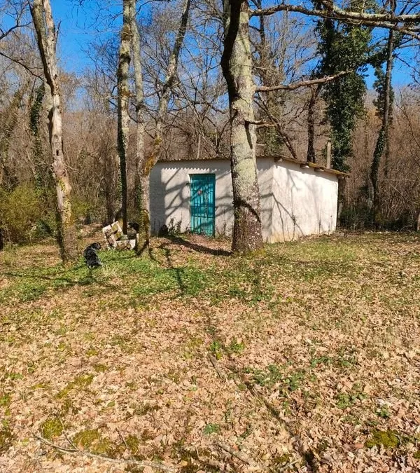 Photo 1