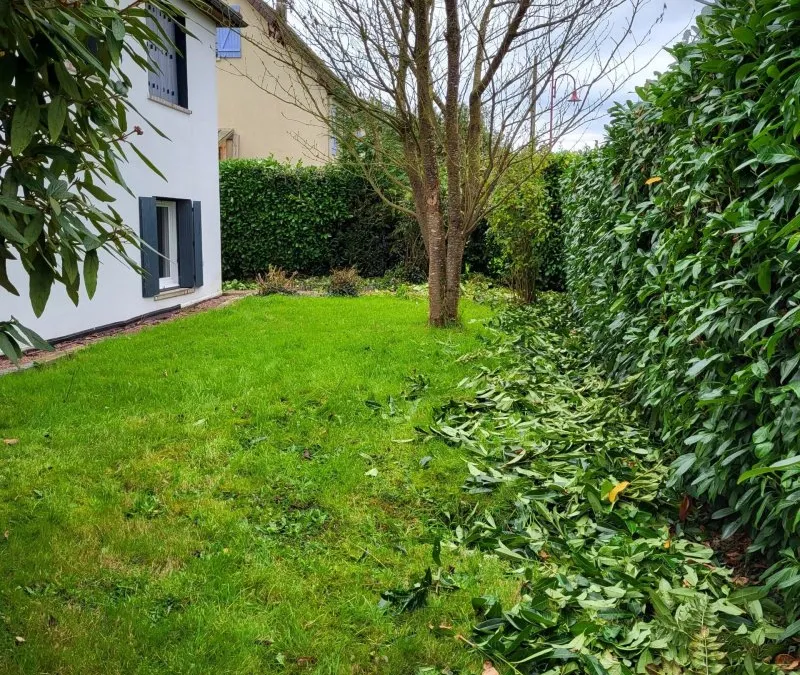 Photo 15