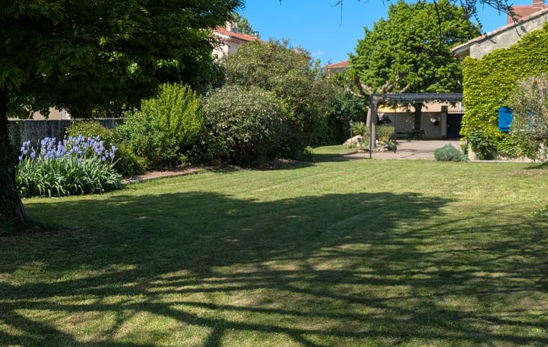 Photo 4