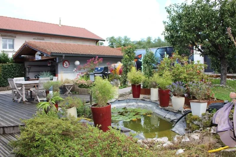 Photo 15
