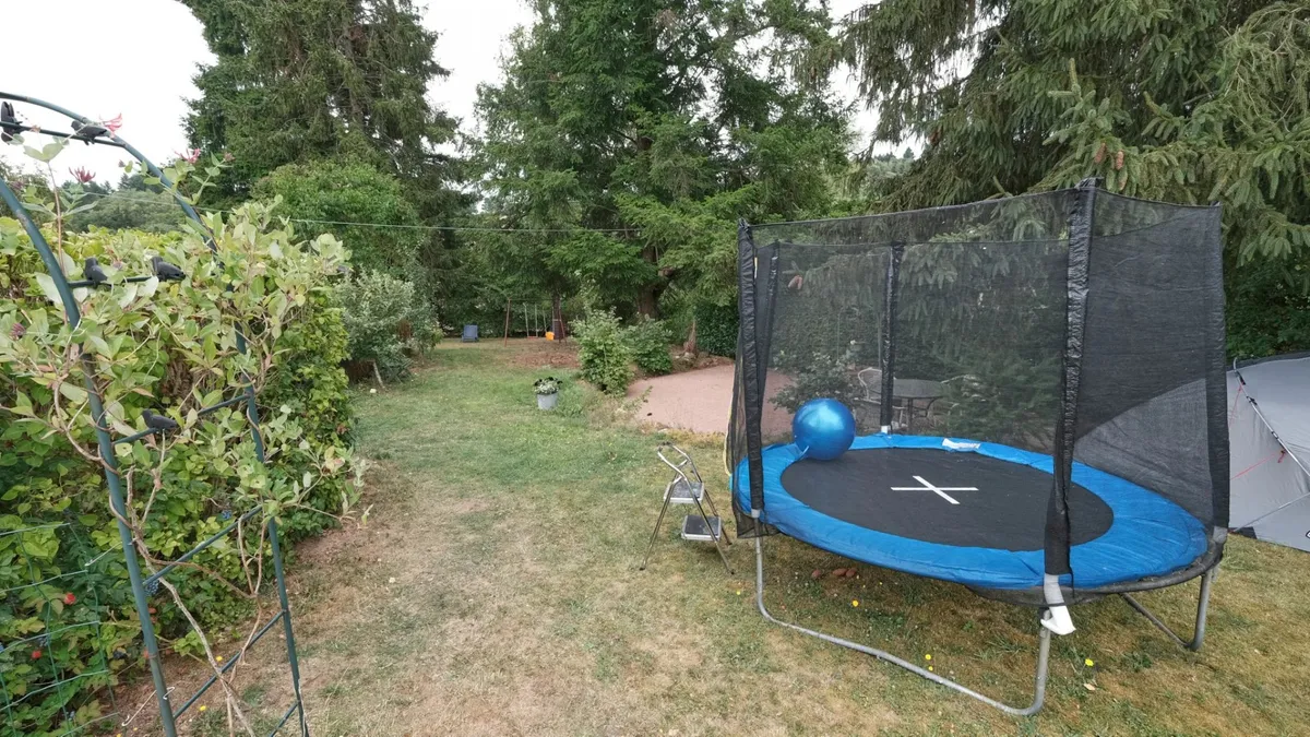 Photo 21