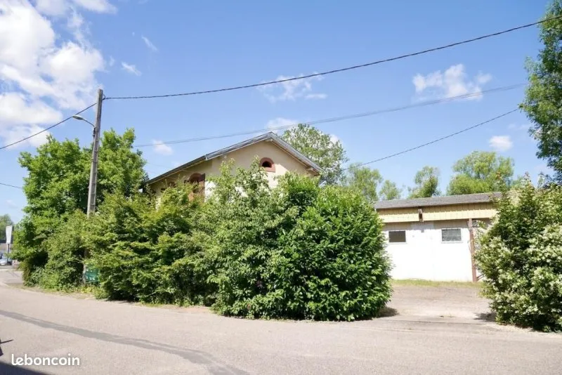 Photo 19