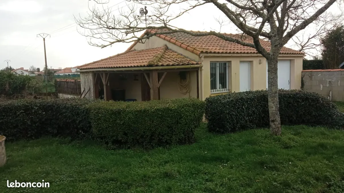 Photo 3