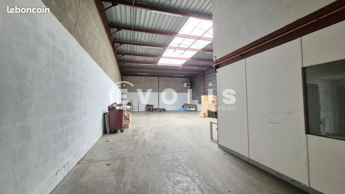 Photo 5