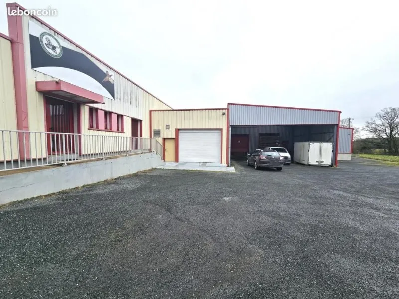 Photo 1