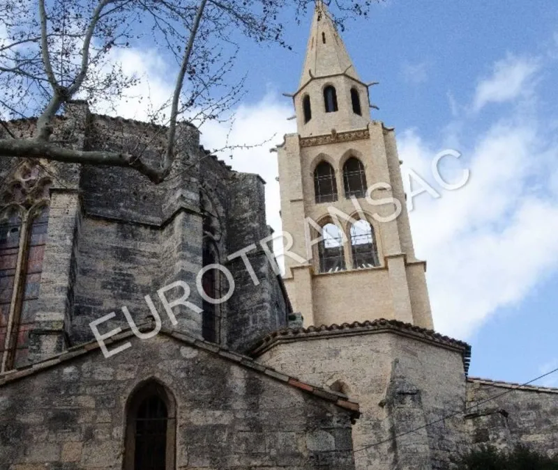 Photo 19