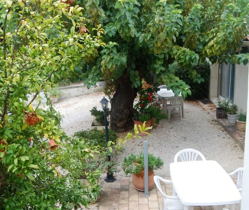 Photo 19