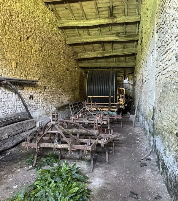 Photo 11