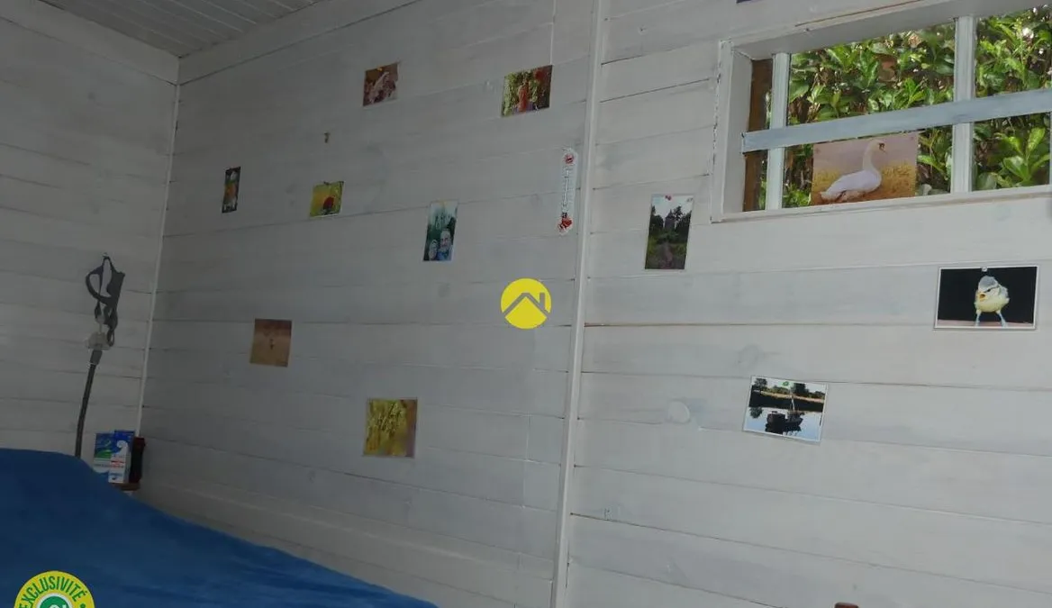 Photo 4