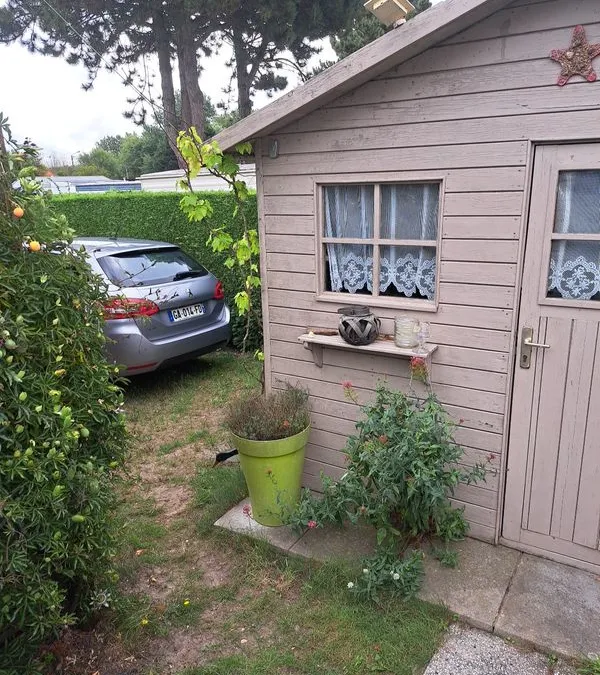 Photo 5
