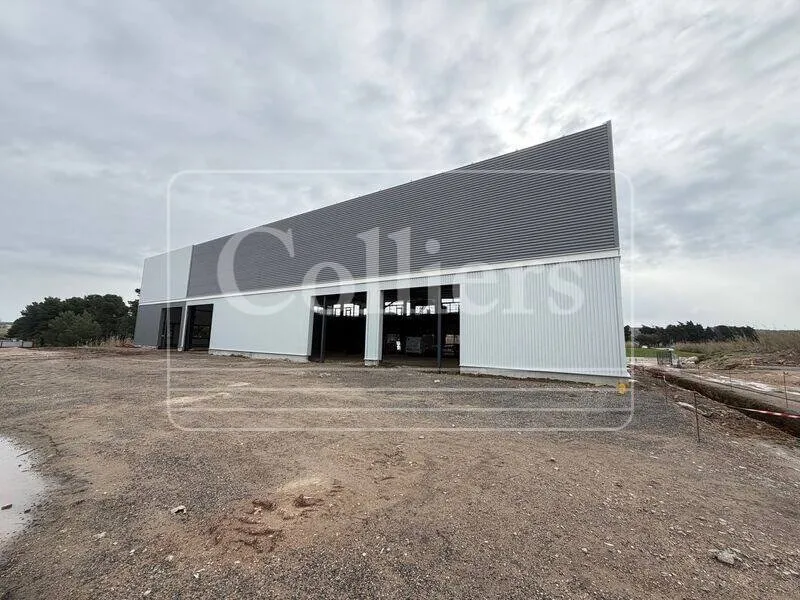 Photo 1