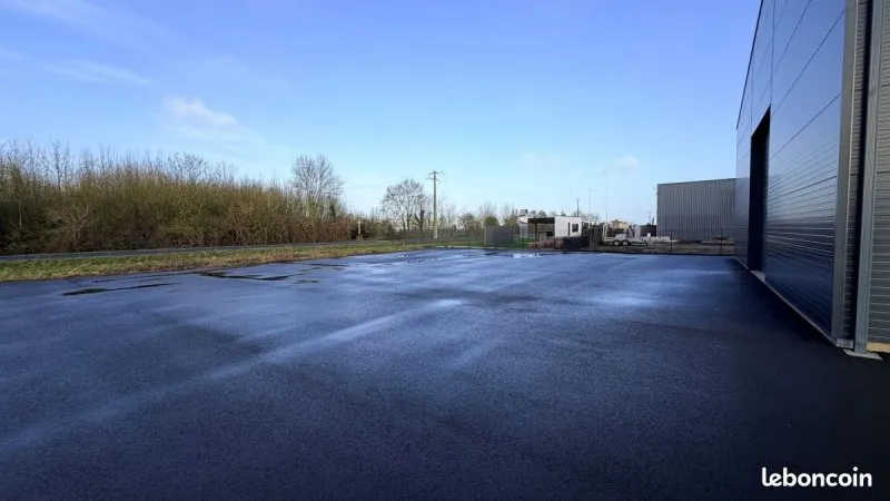 Photo 5