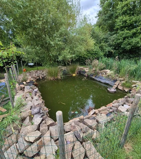Photo 10