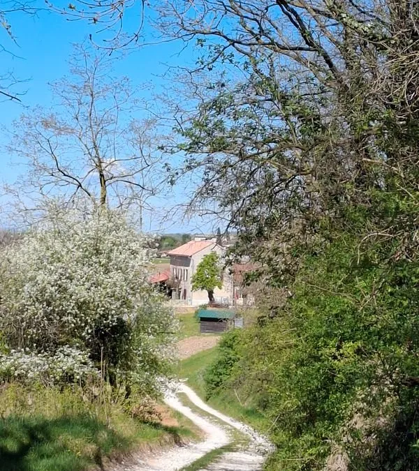 Photo 2