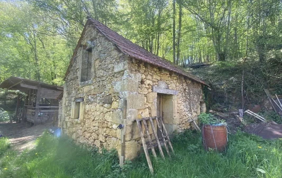 Photo 4