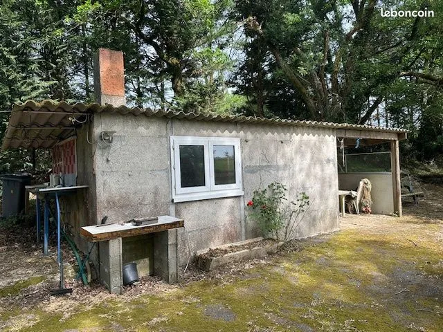 Photo 5