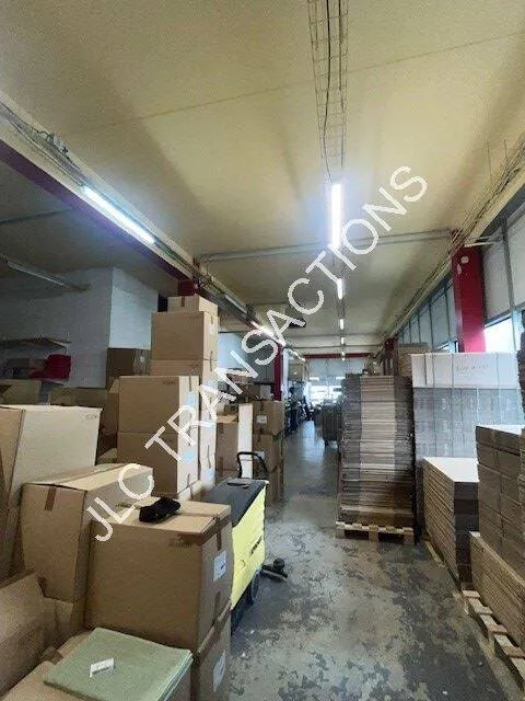 Photo 4
