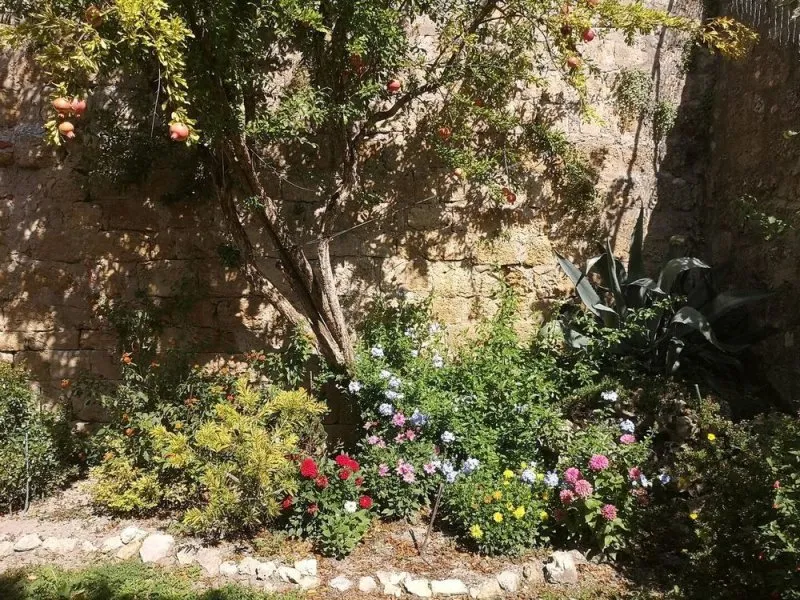 Photo 4