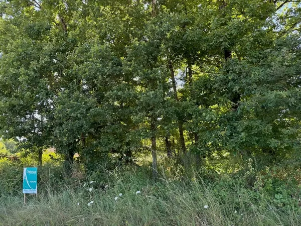TERRAIN A BATIR MUR DE SOLOGNE
