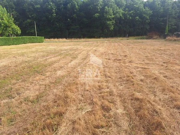 Terrain 2494 m²