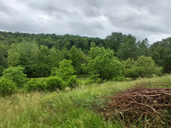 Etang 6880 m²