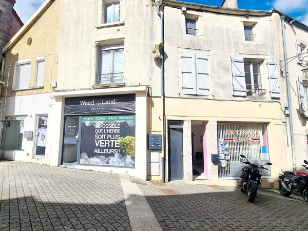 Immeuble de rapport 10 pièces 280 m²