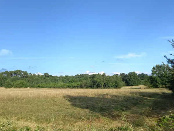 Terrain 1375 m²