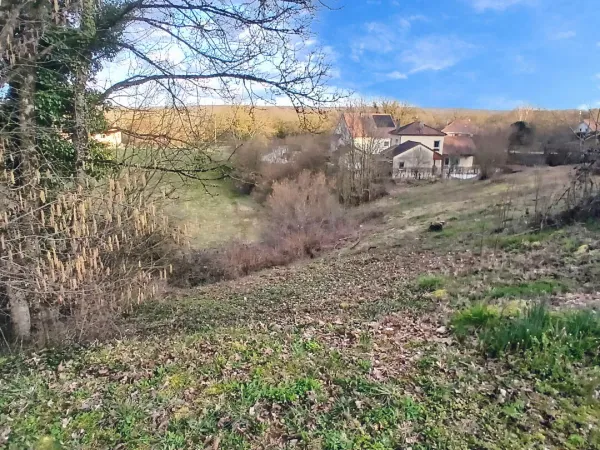 Terrain 1342 m²