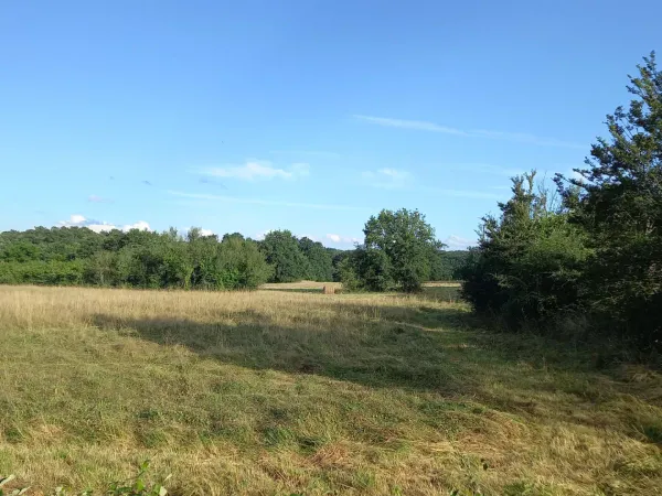 Terrain 1740 m²