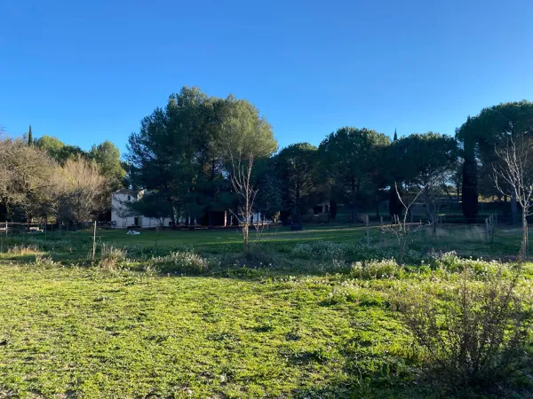Terrain 50000 m²