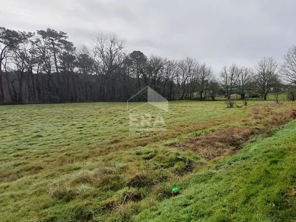 Terrain 3099 m²