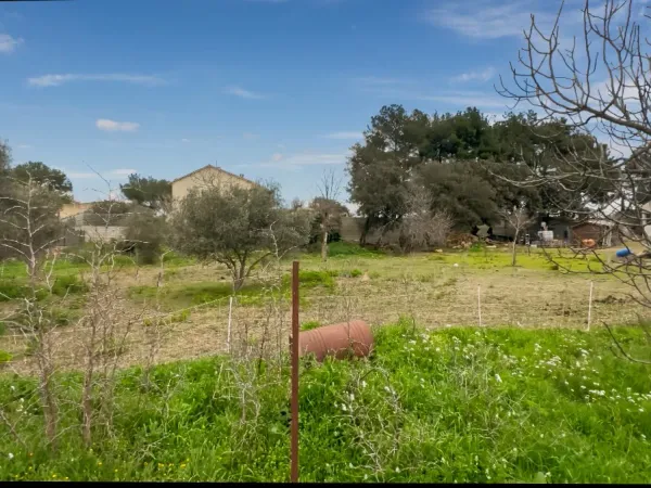 Terrain 1000 m²