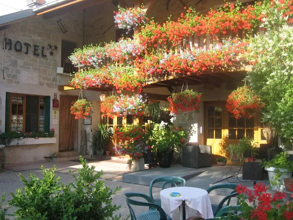Murs commerciaux 25 pièces 495 m²