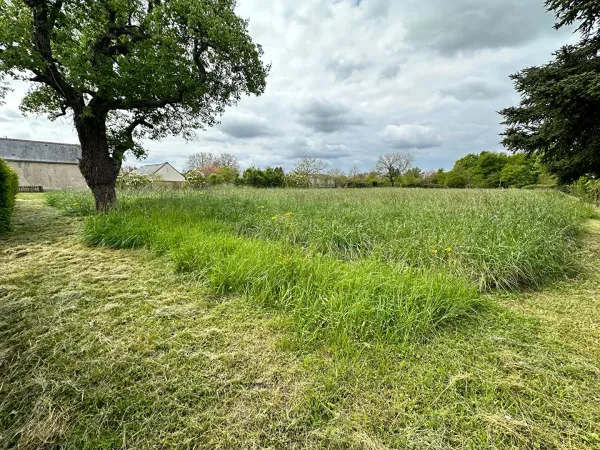 Terrain 2783 m²