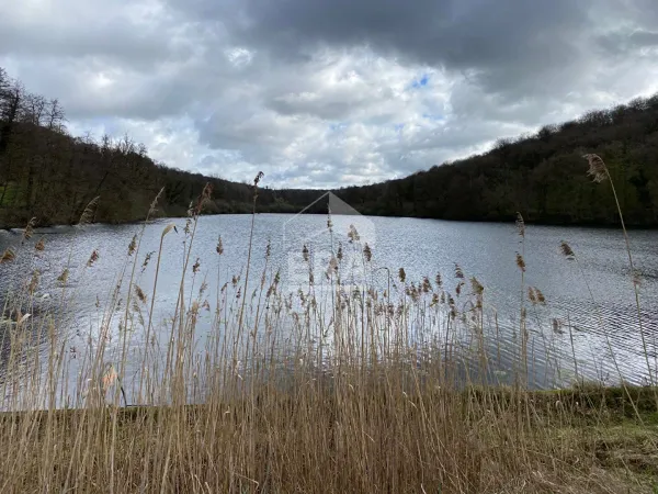 Etang 65000 m²