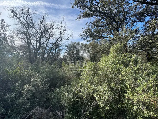 Terrain 50000 m²