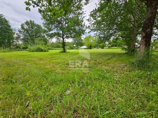 Terrain 3853 m²
